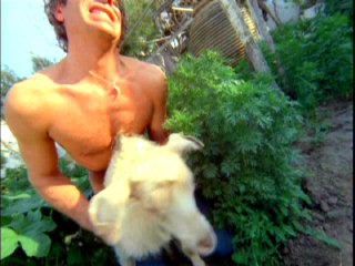 Goat Porn Man Fuck Goat In The Farm Zoo Animal Porn Unrated Videos